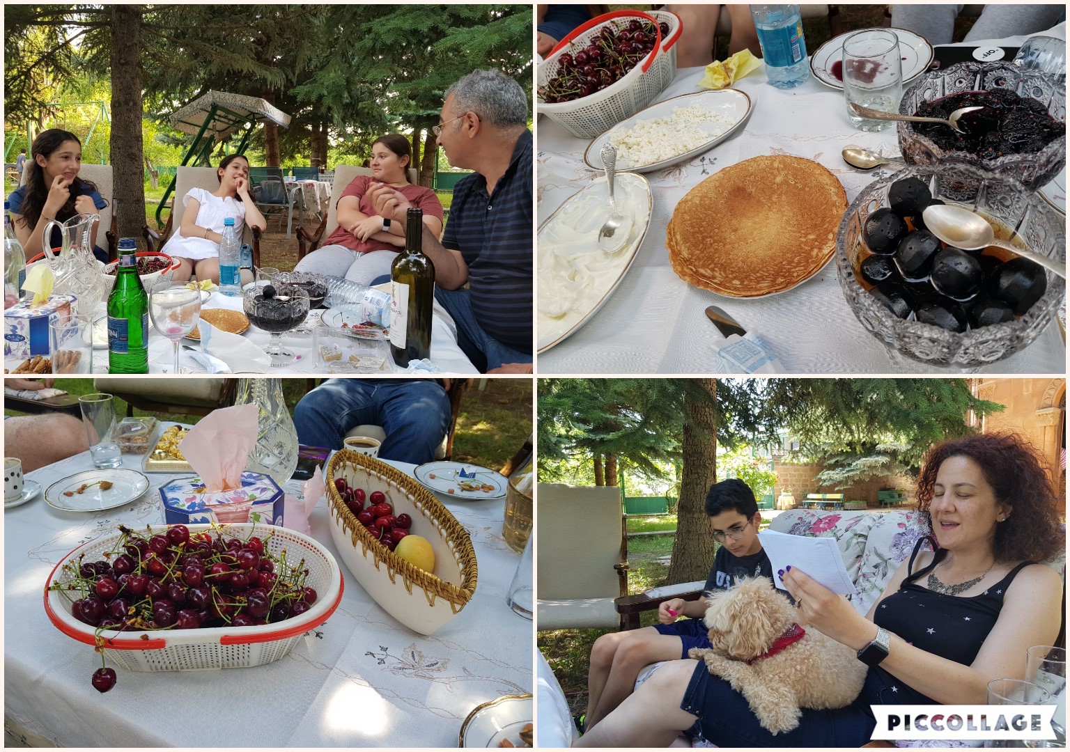 picnic collage